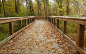 Bridge on the Norwalk River Valley Trail in Wilton CT